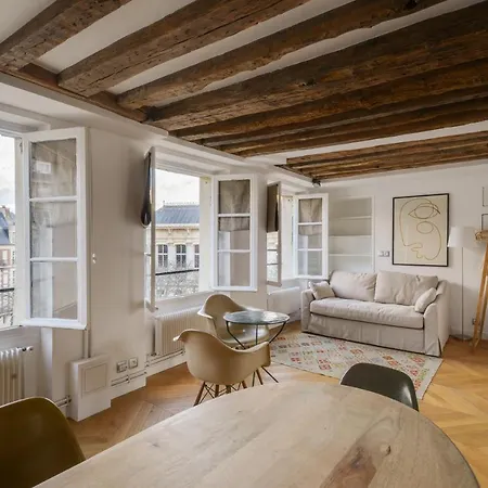 Apartment Cosy & Bright Under The Beams On Place Dauphine Id 319 *