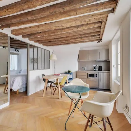 Apartment Cosy & Bright Under The Beams On Place Dauphine Id 319 *