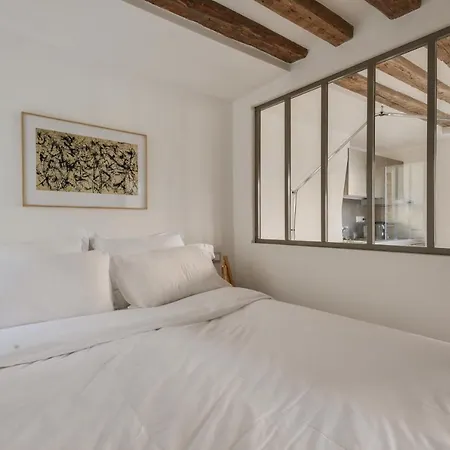 Cosy & Bright Under The Beams On Place Dauphine Id 319 Apartment *