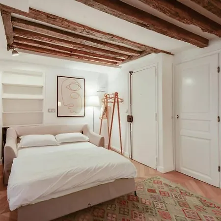Cosy & Bright Under The Beams On Place Dauphine Id 319 Apartment
